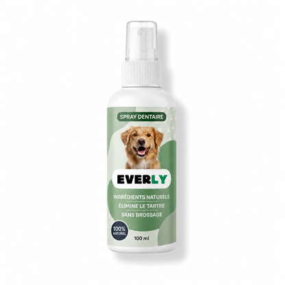 Spray Dentaire EVERLY™