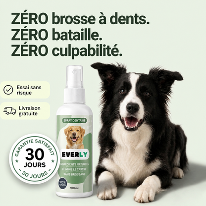 Spray Dentaire EVERLY™