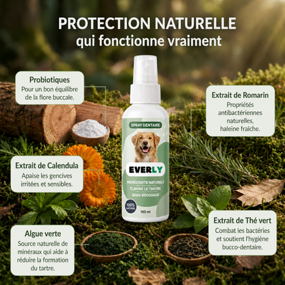 Spray Dentaire EVERLY™