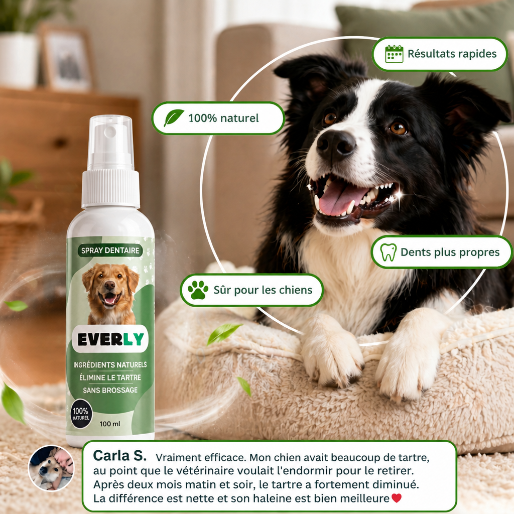 Spray Dentaire EVERLY™